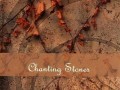 Chanting Stones - Chanting Stones