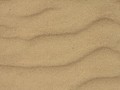 Sand beach soil ground shore desert texture ver 1