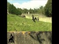 Прямоходящая горилла