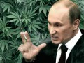 Путин курит травку, растаман