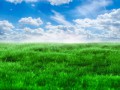 green-grass-and-blue-sky-1398454014G2m