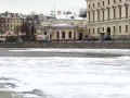 В центре Петербурга объявился пингвин-ныряльщик.