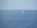 Моряки якобы расстреляли лодки сомалийских пиратов