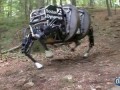 DARPA Legged Squad Support System (LS3) Demonstrates New Capabilities