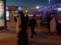 Пингвины в аэропорту Сургута