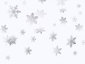 transparent-snow-fla