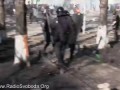 Мітингувальники вибили внутрішні війська з Шовковичної