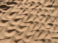 sand_texture1014