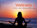 Modern Wellness Vol 2 2012