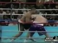 Raphael Butler Bellator Heavyweight - MMA Highlight Tape