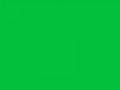 Темный пастельно-зеленый	#03C03C	3	192	60