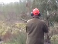 Boar hunting, too close for comfort