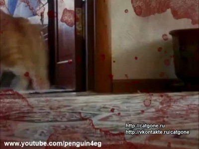 видео приколы в душе