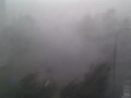 Летний дождик в Москве