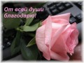 http://s01.yapfiles.ru/uploads/files_thumb/9/0/4/407409.jpg