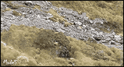 1416569036_1405342082