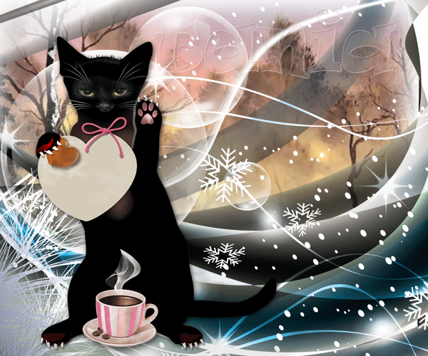 -имени-1cat
