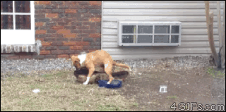 doc2000063206_345164020