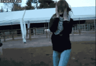 k6c8l6J