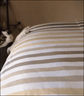 tumblr_nfvhn8Z8jg1qdlh1io1_400