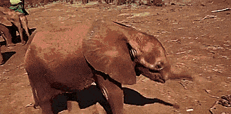 de30e6fba1d9580926b782a1453856fb