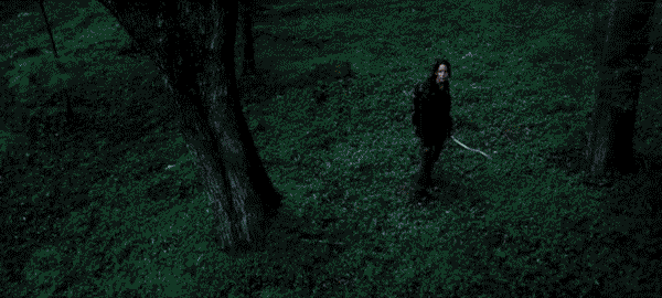 1417839663_217223357