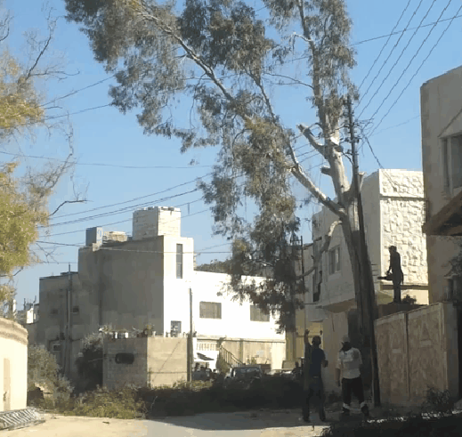 gifs_23