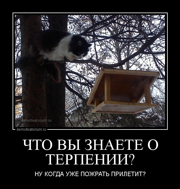 demotivatorium_ru_chto_vi_znaete_o_terpenii
