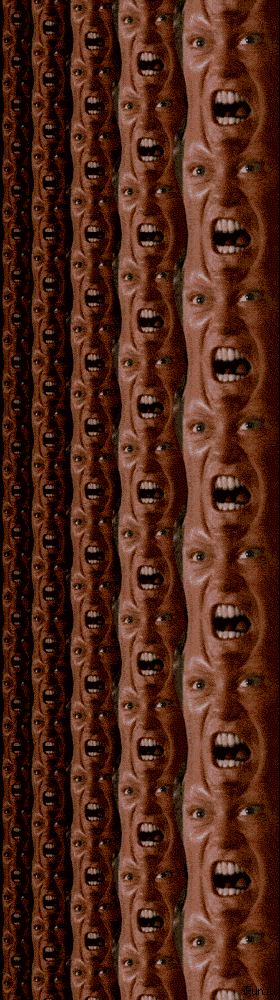 6gum3d7x