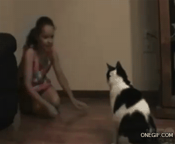 gifs_21