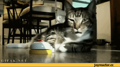 72676e4a4ce19efa820b4c65bc7