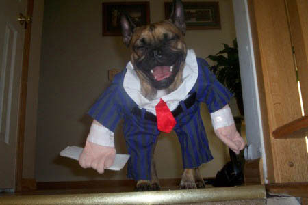 dog-costumes-11