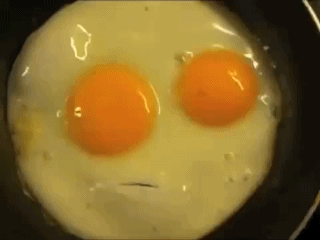 8f047454-e3e6-47fa-9376-ca81b7c73dd3
