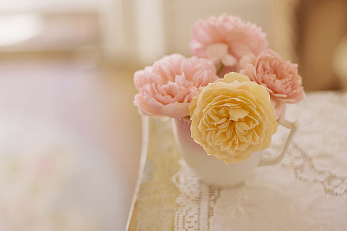 tumblr_lxqgrjVjGl1r1771no1_500