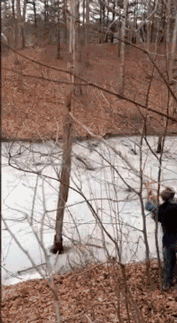 gif-23122014-001