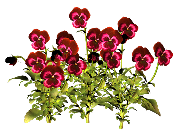 109985018_0_a1d69_1448f37d_XL