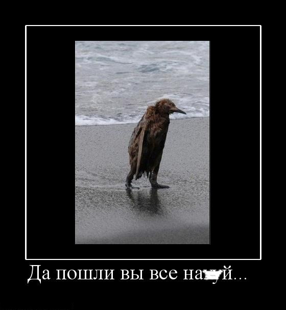цыфы