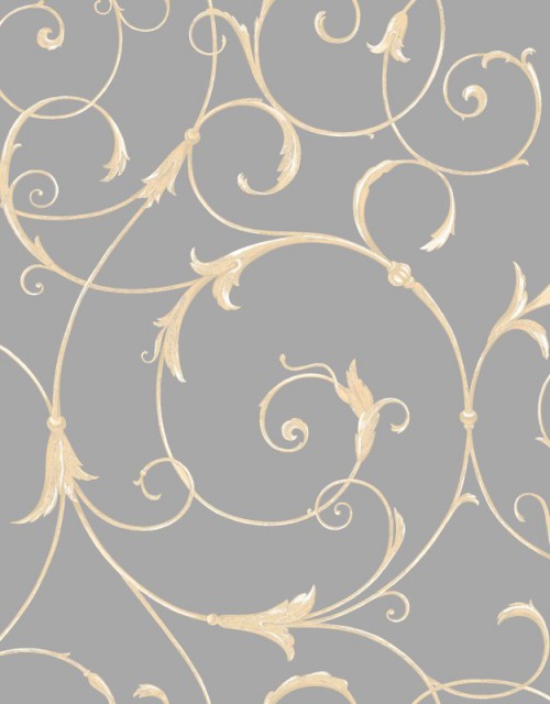 silver_K7_008_cat365_f44d5889tr_625x800