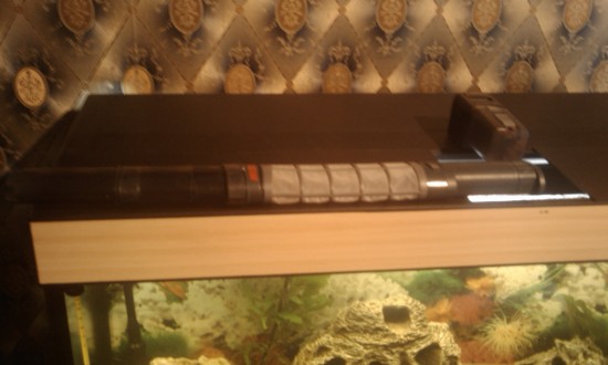 IMAG0110