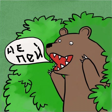 Medved-shluha-157270