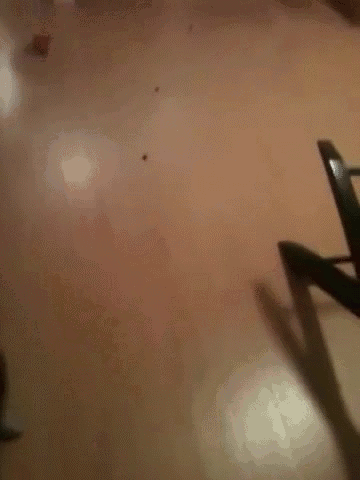 295046_772847