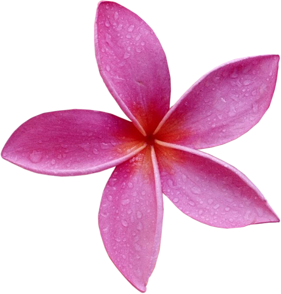 4e1645b9ae43fb118a91316881a92ee9