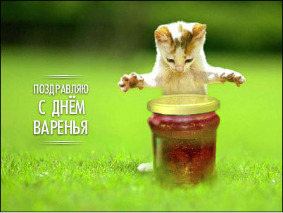 6079a85b7e0cce579821453846c682ab_funky_happy_birthday