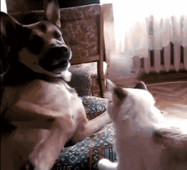 1319029249_9e1f7dd14a3a46318b894ee5d7add6a9