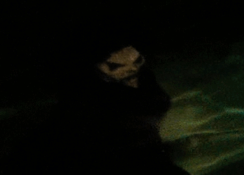 tumblr_mhfv3rNF2K1qbxh0uo1_500