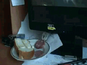 252926