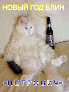 КОТЯРА