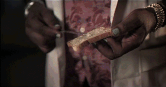 кот-бутерброд