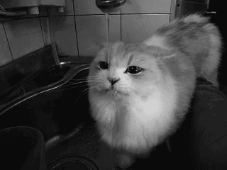с крана