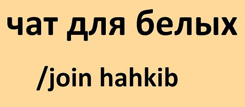 mediafile (54)